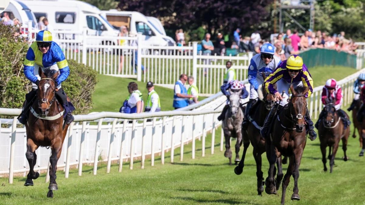 Horse racing jumps action